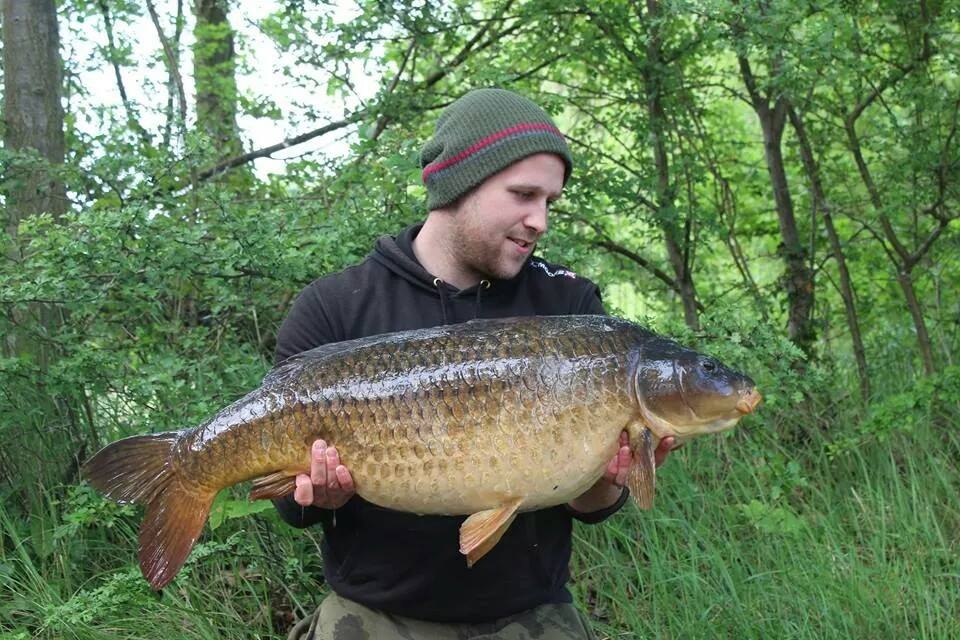 Alison Taylor caught this 34 lb 8oz Common Carp at Dickersons Pit, Milton Country Park