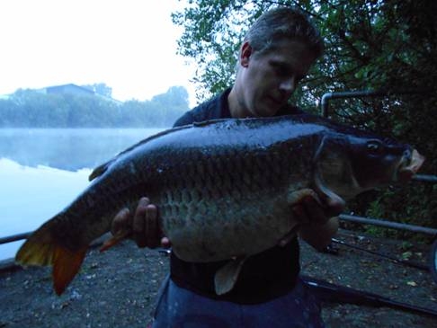 Nick Allsop caught this 20 lb 8 oz Two Tone Common at Todd's Pit, Milton Country Park