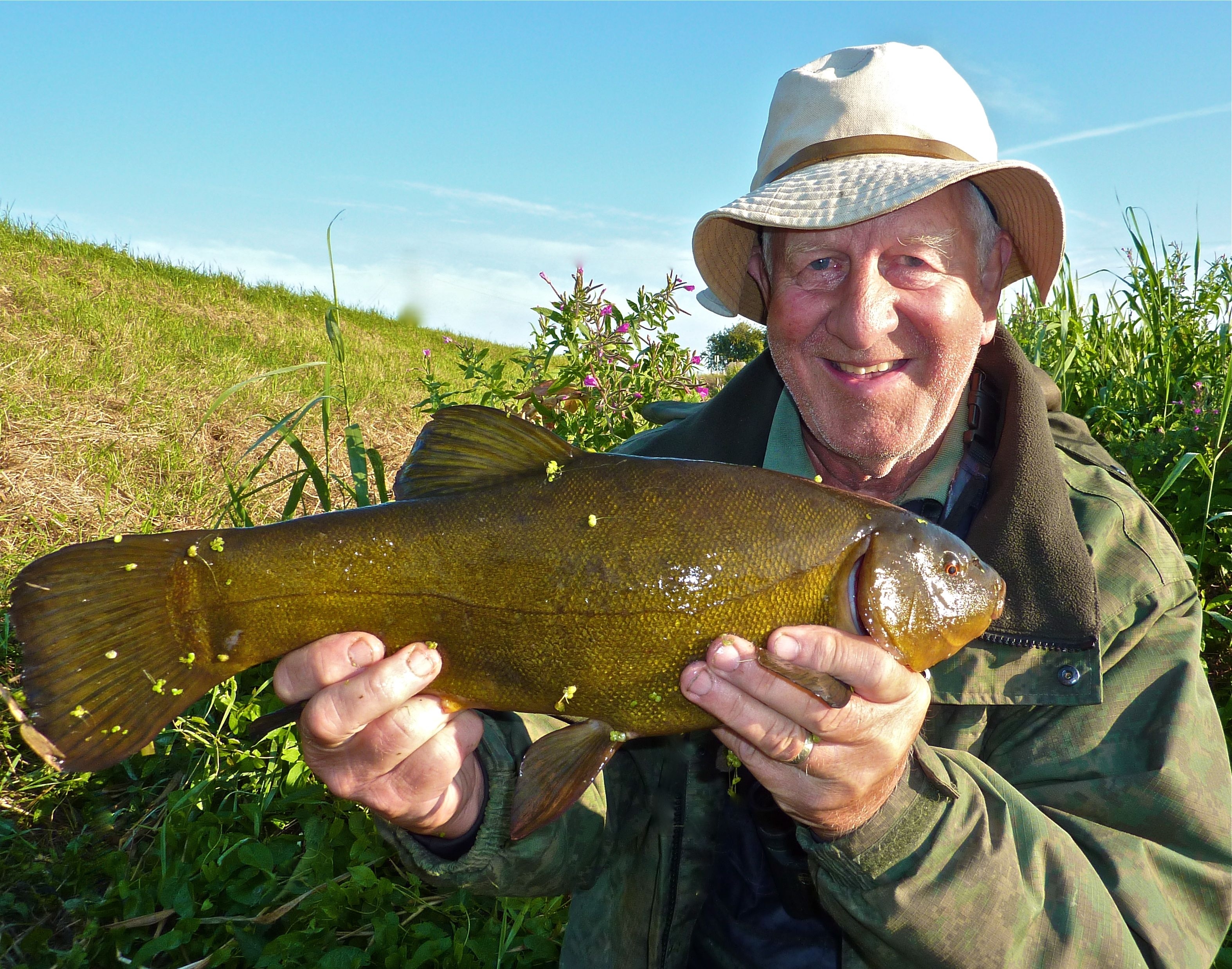 A feisty Fen Tench caught by Hugh Miles on the River Lark, August 2014