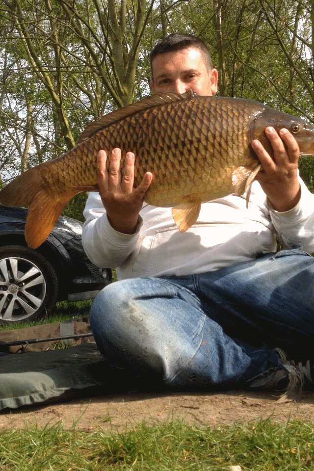 Angler Steve Wright caught this 20lb common carp at Heritage Lake