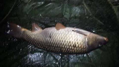 catch-report-heritage-lake-05
